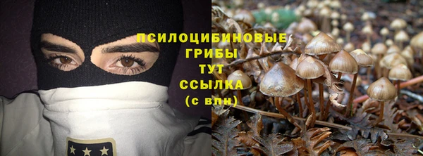 дурь Абаза