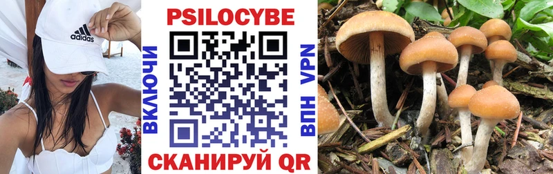 Галлюциногенные грибы Cubensis  ссылка на мегу сайт  Благовещенск  где можно купить наркотик 